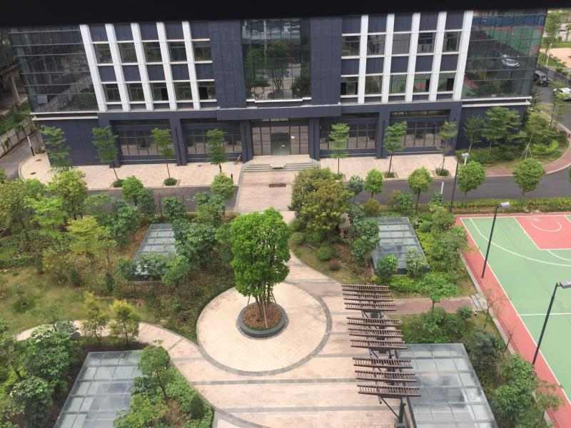 中艺源12年园林绿化施工经验 您的园林景观设计、施工、养护一站式服务商