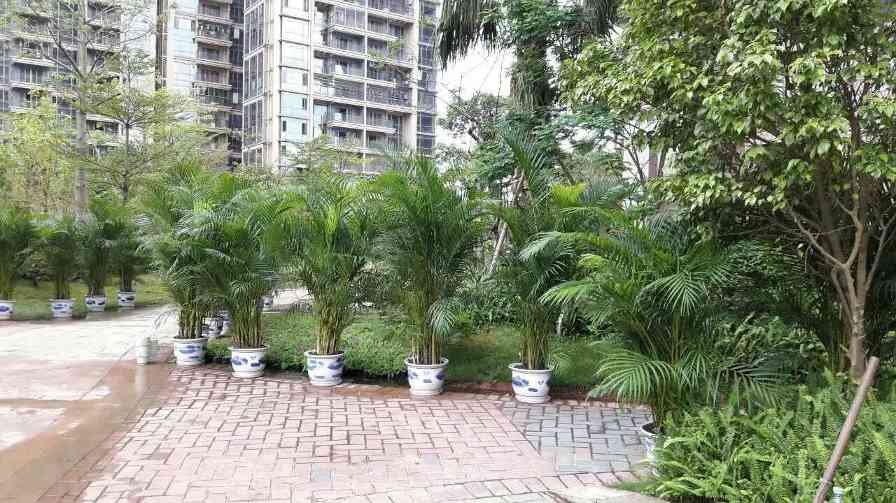 中艺源12年园林绿化施工经验 您的园林景观设计、施工、养护一站式服务商