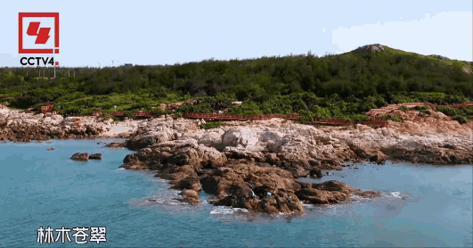 中国人种树有多牛？