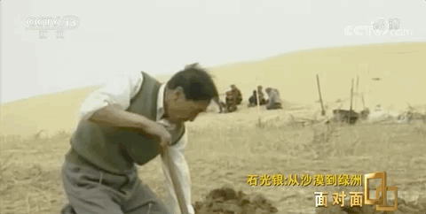 中国人种树有多牛？