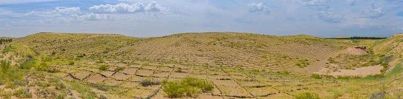 中国人种树有多牛？