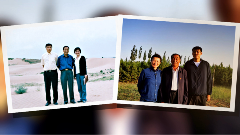 中国人种树有多牛？