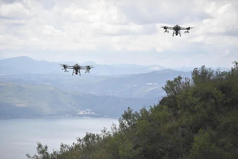 中国人种树有多牛？