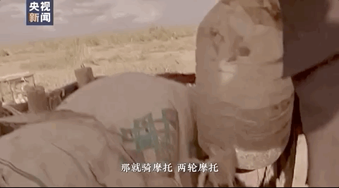 中国人种树有多牛？