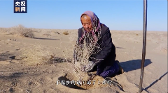 中国人种树有多牛？