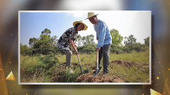 中国人种树有多牛？