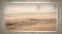 中国人种树有多牛？