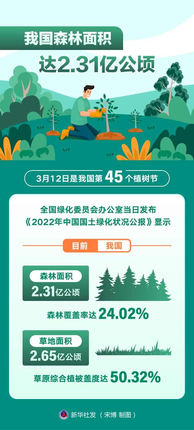 我国森林面积达2.31亿公顷
