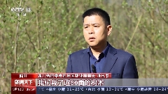 10年新增森林面积2200多万公顷 我国国土绿化重大工程取得新进展