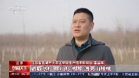 10年新增森林面积2200多万公顷 我国国土绿化重大工程取得新进展