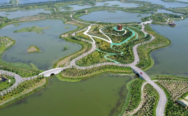 天津打造绿色生态屏障为城市“热岛”降温