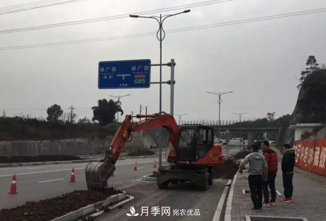 绿化工程苗木价格计算办法(图1) 绿化工程苗木价格计算办法(图1)