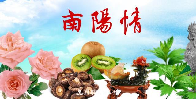 南阳市总人口1194.23万居全省第一 河南每9人就有1个南阳人(图2) 南阳市总人口1194.23万居全省第一 河南每9人就有1个南阳人(图2)