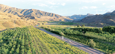宁夏石嘴山市推进贺兰山生态修复——矿山复青山 愿景变美景