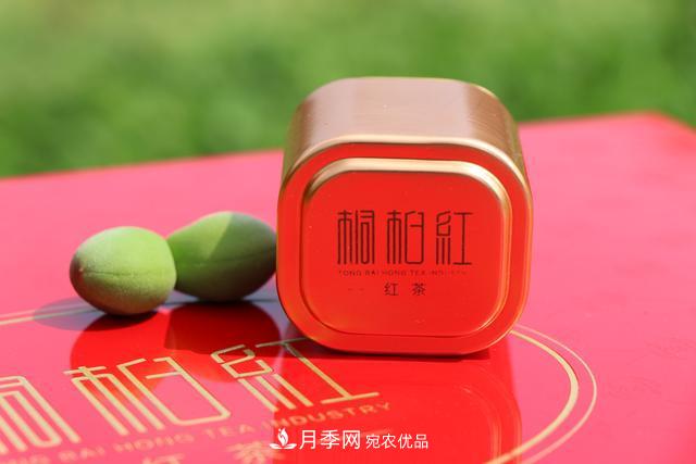 南阳特产:桐柏红茶叶(图1) 南阳特产:桐柏红茶叶(图1)