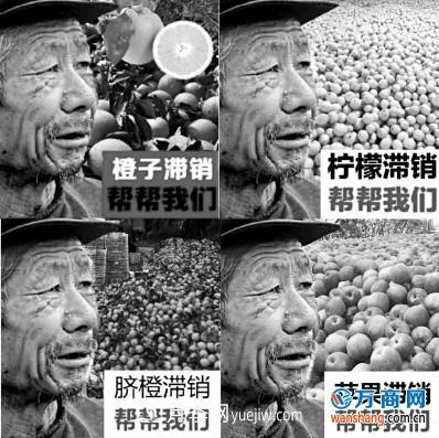网售滞销农产品只有四成是真的(图1) 网售滞销农产品只有四成是真的(图1)