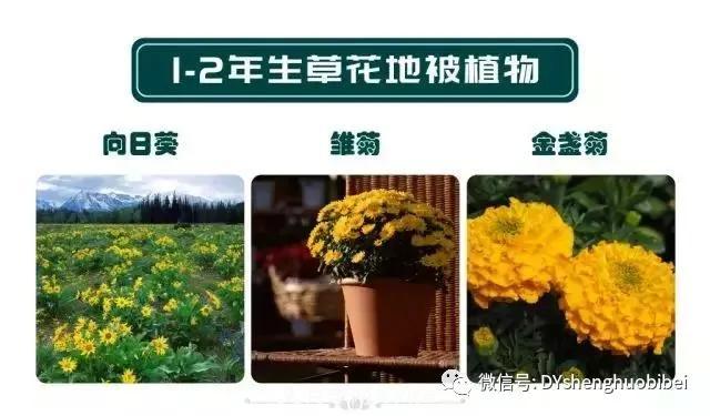 苗木必备基本常识手册(图11) 苗木必备基本常识手册(图11)
