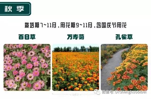 苗木必备基本常识手册(图21) 苗木必备基本常识手册(图21)