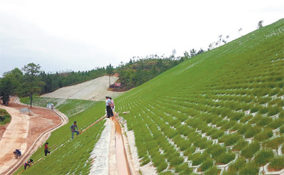 兴国县崩岗治理生态修复显成效