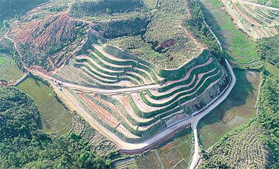 兴国县崩岗治理生态修复显成效