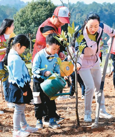 全民植树行动持续开展 绿色中国添新景