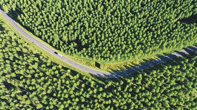 全民植树行动持续开展 绿色中国添新景