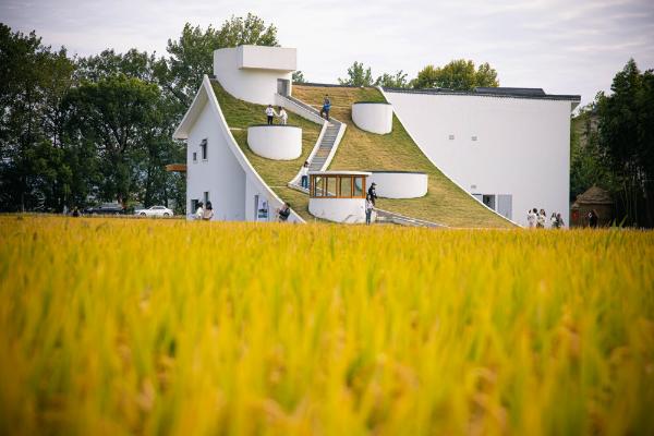 描绘村美人和共富的动人画卷——从三组数据看“千万工程”二十年引领浙江山乡巨变