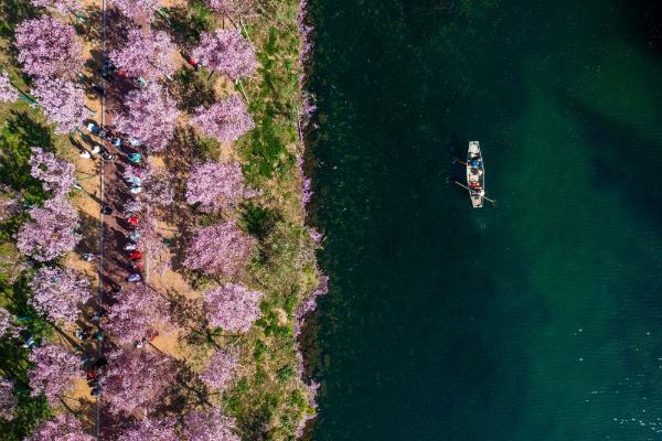描绘村美人和共富的动人画卷——从三组数据看“千万工程”二十年引领浙江山乡巨变