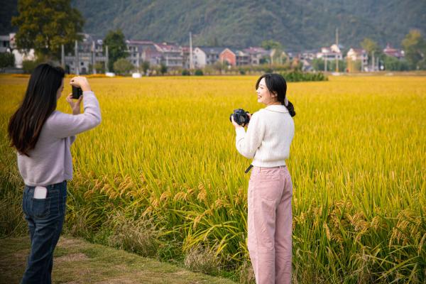 描绘村美人和共富的动人画卷——从三组数据看“千万工程”二十年引领浙江山乡巨变