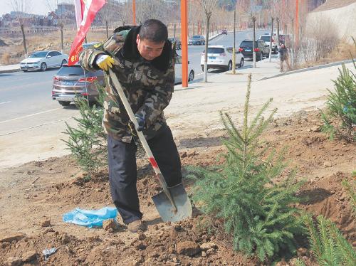 全国绿化先进工作者 | “最接地气”的林业局长——记全国绿化先进工作者张国友