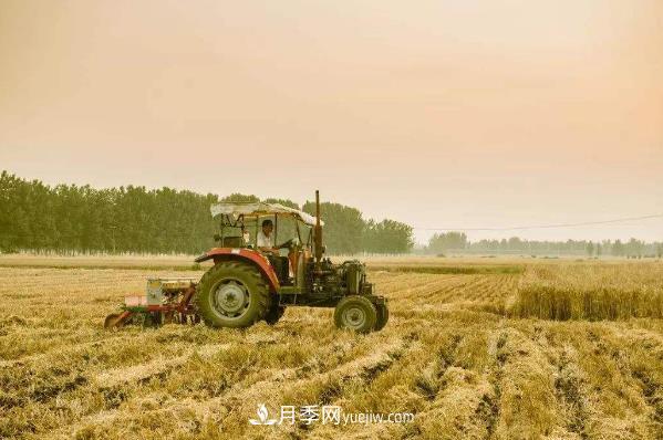 粮食生产**单位——改革开放40年南阳品牌聚焦(图1) 粮食生产**单位——改革开放40年南阳品牌聚焦(图1)