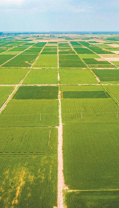 内蒙古生态屏障构筑绿色长城