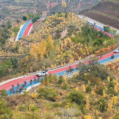 乡土植物助力科学绿化 改善城乡人居环境