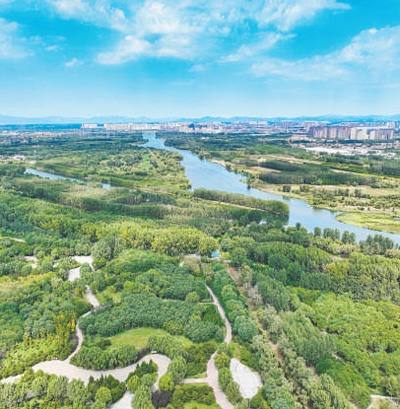 乡土植物助力科学绿化 改善城乡人居环境