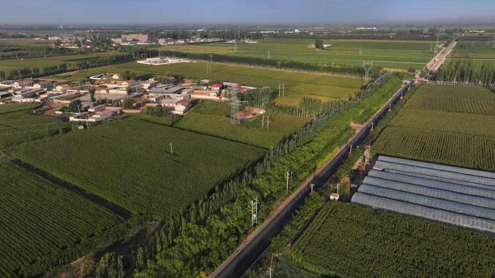 黄河“几字弯”生态治理攻坚，绿色屏障构筑坚实防线