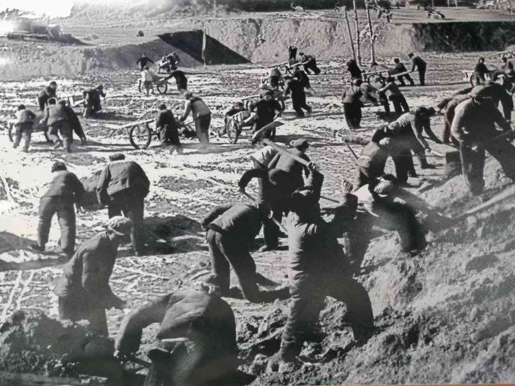 黄河“几字弯”生态治理攻坚，绿色屏障构筑坚实防线