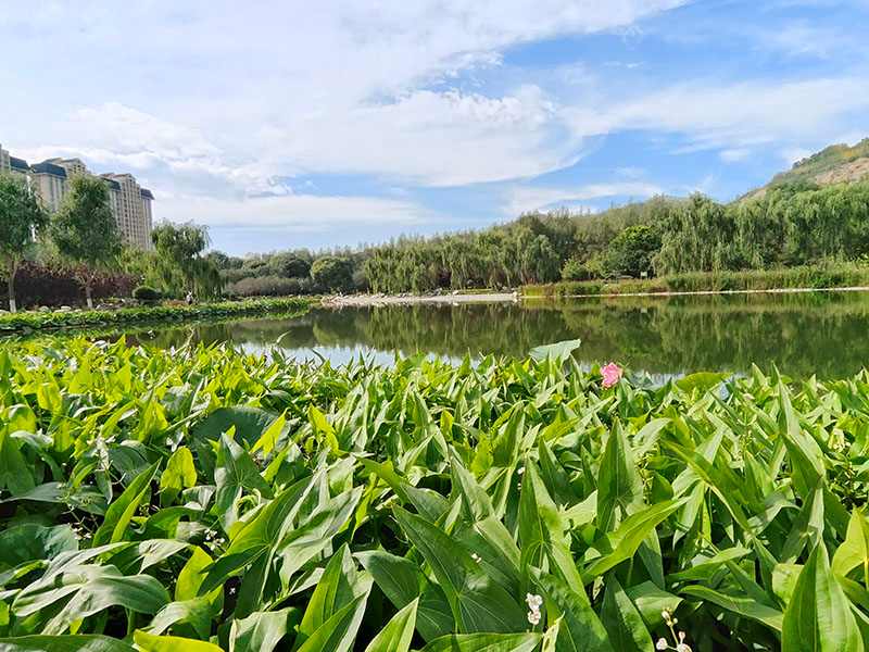 西宁北山美丽园生态蝶变见证绿色发展成果