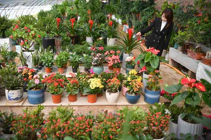 新潮涌动大河间——陕西推动黄河流域生态保护和高质量发展观察