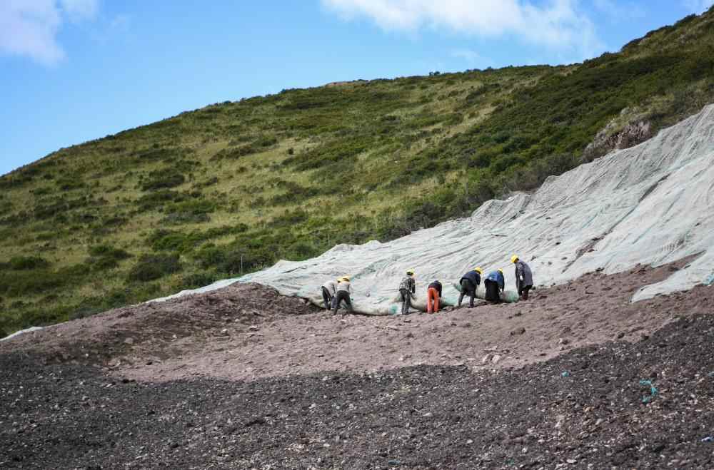 “椰丝毯”让草原生态修复重披绿装