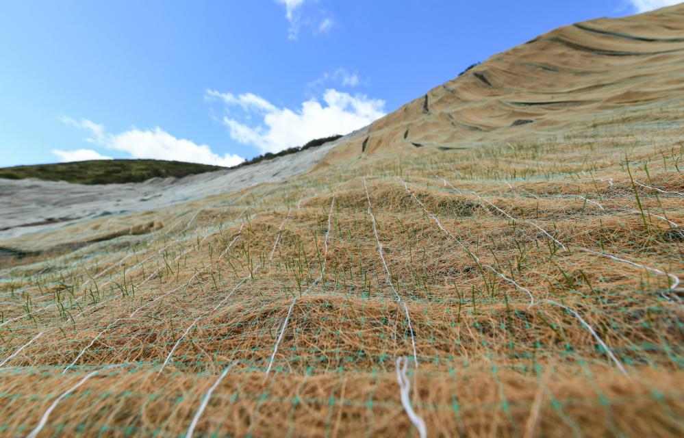 “椰丝毯”让草原生态修复重披绿装