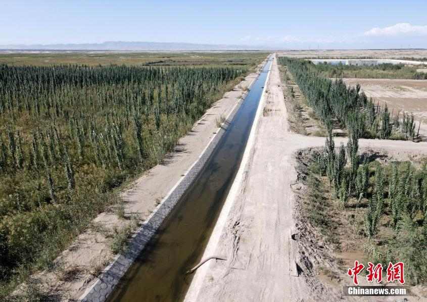 新疆阿克苏推动生态修复及荒漠化治理工程