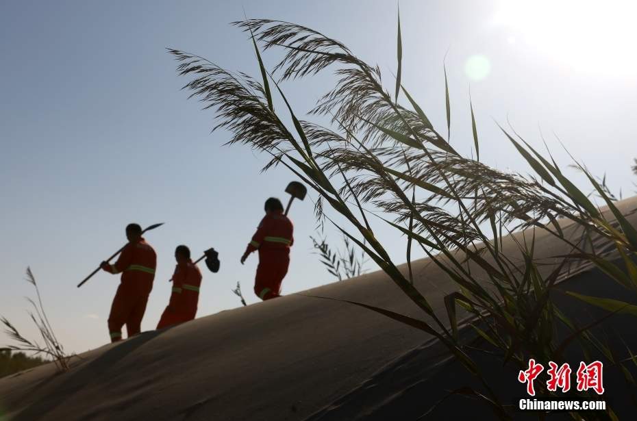 新疆阿克苏推动生态修复及荒漠化治理工程