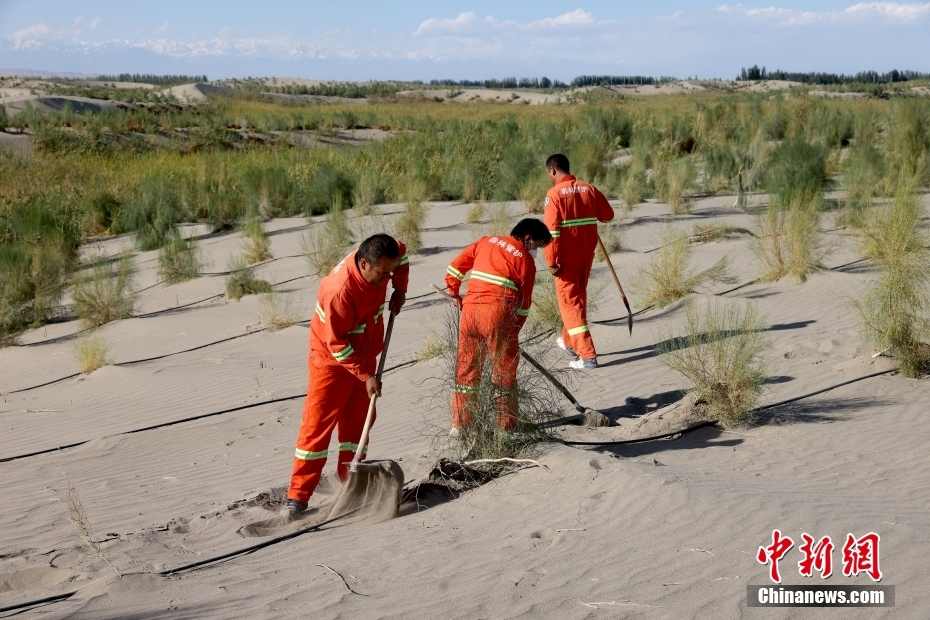新疆阿克苏推动生态修复及荒漠化治理工程