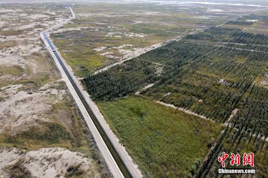 新疆阿克苏推动生态修复及荒漠化治理工程