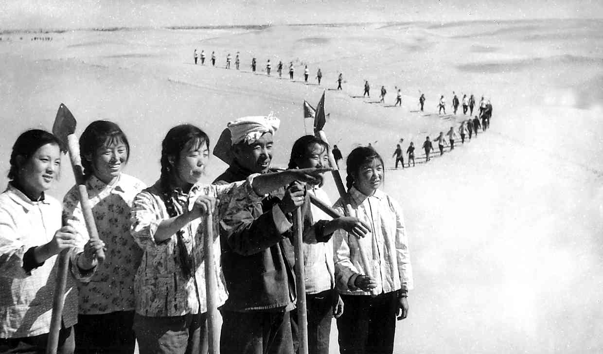 补浪河女子民兵治沙连：荒漠变绿洲的青春征程