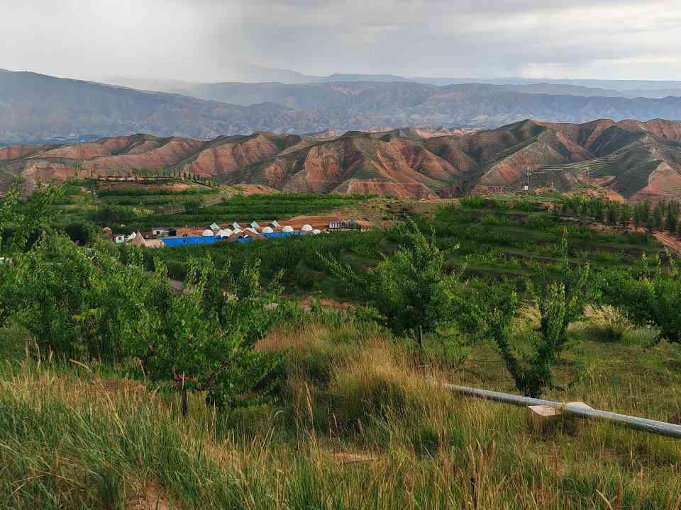 青海荒山变绿洲：青宏杏助力生态经济转型