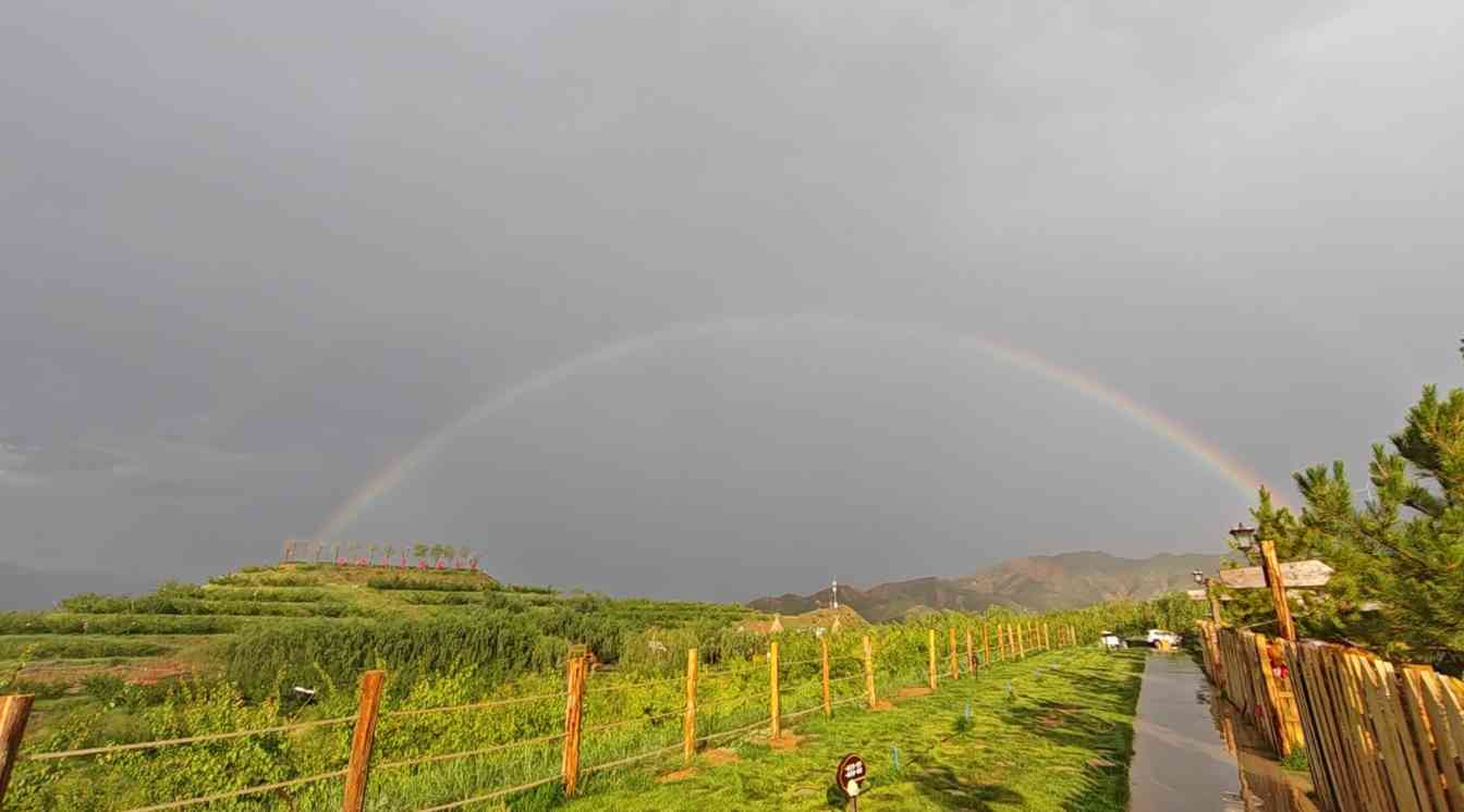 青海荒山变绿洲：青宏杏助力生态经济转型