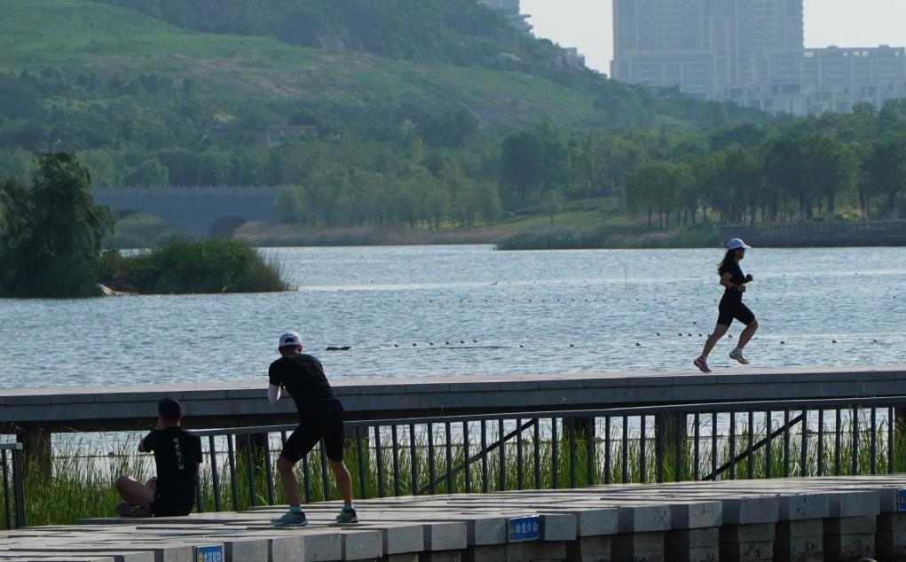 山东生态文明建设成效显著 重现绿水青山画卷