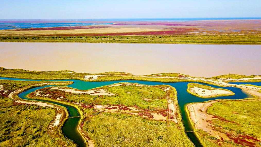 山东生态文明建设成效显著 重现绿水青山画卷