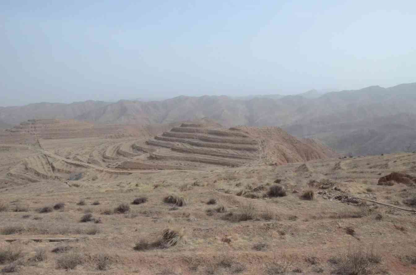 青海荒山变绿洲：青宏杏助力生态经济转型